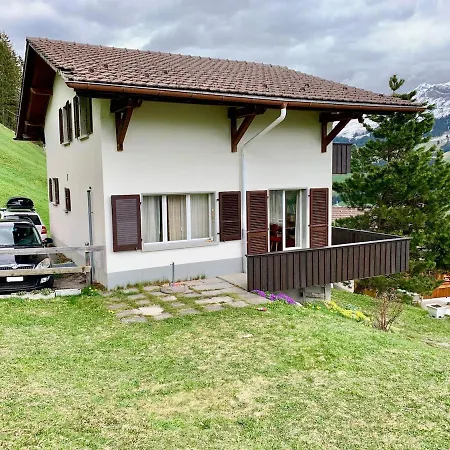 Panorama Dağ evi Adelboden